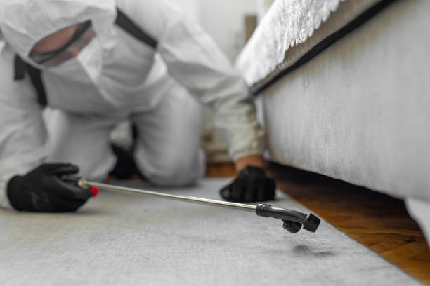 Professional Bed Bug Control technician working in Kingston, OK