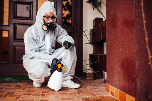Reliable Bed Bug Control contractor in Kingston, OK by Nex Pest Control