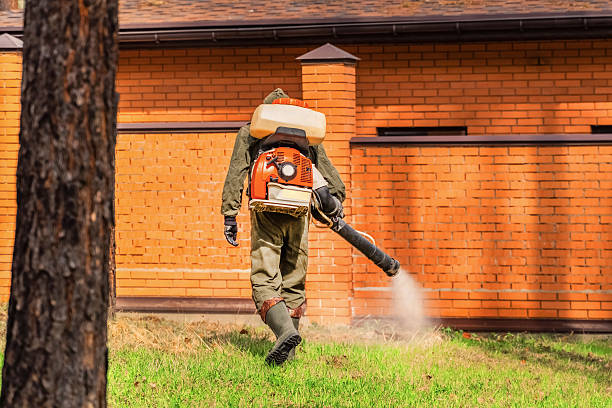 Top rated local Bed Bug Control specialists in Kingston, OK